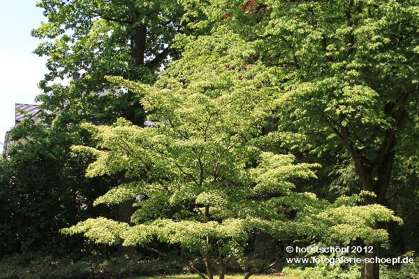 Bayreuth - Festspielpark2